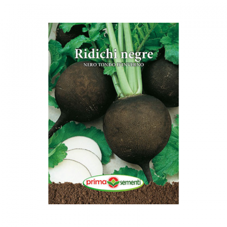 Seminte radacinoase - Seminte Ridichi negre Nero Tondo D'Inverno