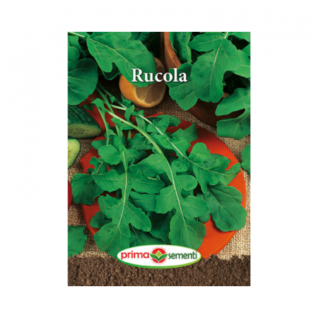 Seminte aromatice - Seminte Rucola