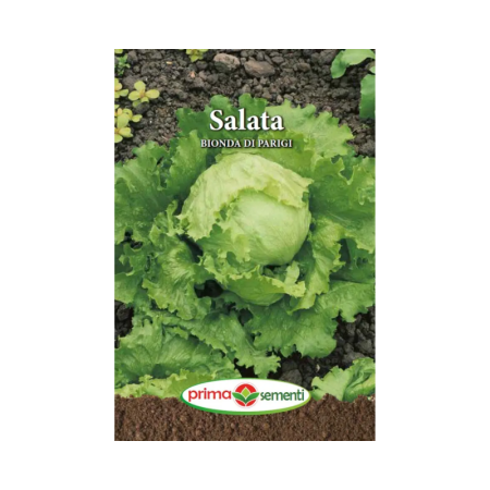 Seminte frunzoase - Seminte Salata Bionda Di Parigi