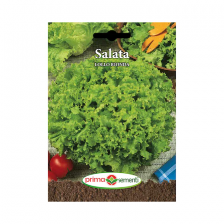 Seminte frunzoase - Seminte Salata Lollo Bionda