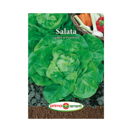 Seminte - Seminte Salata Verde D'iverno