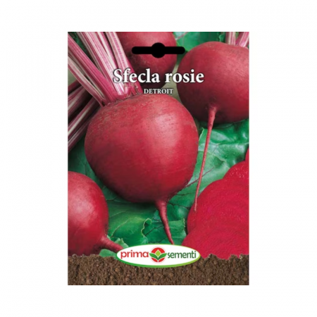 Seminte radacinoase - Seminte Sfecla rosie Detroit 5 g