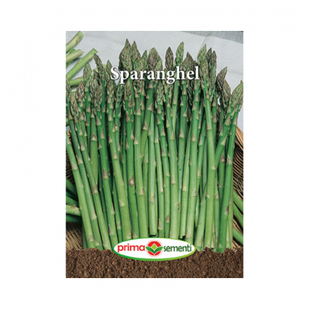 Seminte - Seminte Sparanghel