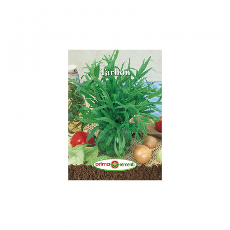 Seminte aromatice - Seminte Tarhon