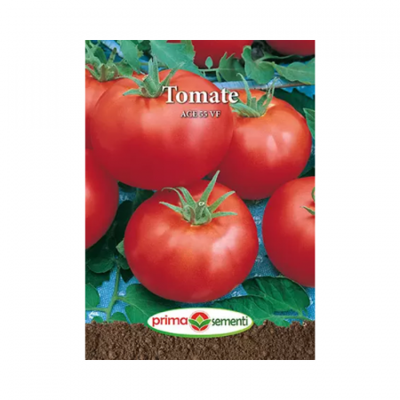 Seminte - Seminte Tomate Ace 55 VF