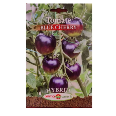 Seminte - Seminte tomate Blue Cherry Hybrid 0.1g