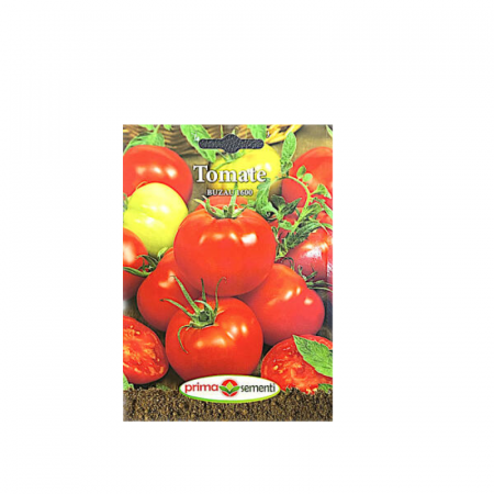 Seminte - Seminte Tomate Buzau 1600