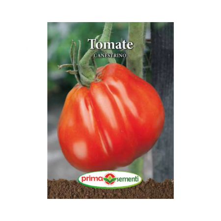 Seminte - Seminte Tomate Canestrino