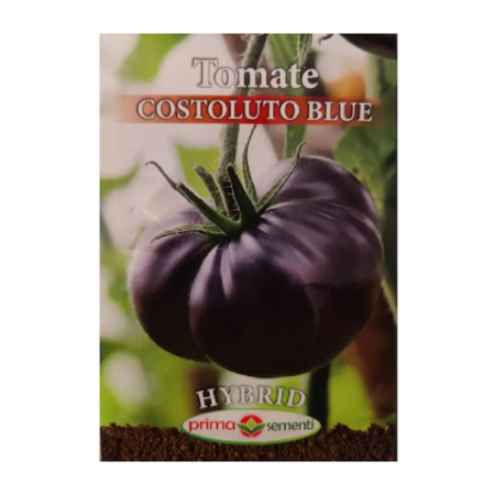 Acasa - Seminte Tomate Costoluto Blue 0.1 g