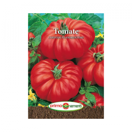 Seminte - Seminte Tomate Costoluto Fiorentino