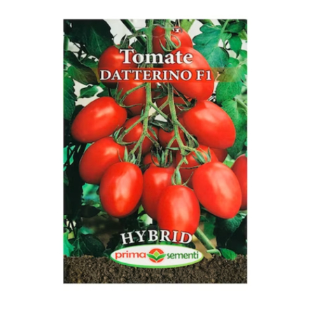 Seminte - Seminte tomate Datterino F1 Hybrid 0.3g