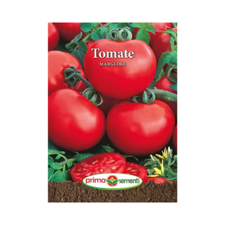 Seminte - Seminte Tomate Marglobe