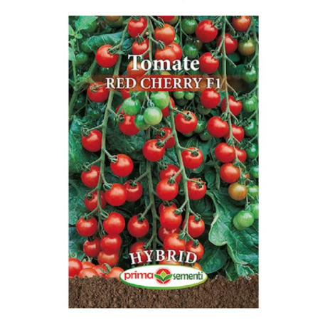 Seminte - Seminte tomate Red Cherry F1 Hybrid 0.5g