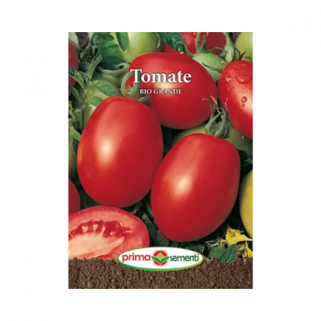 Seminte - Seminte Tomate Rio Grande