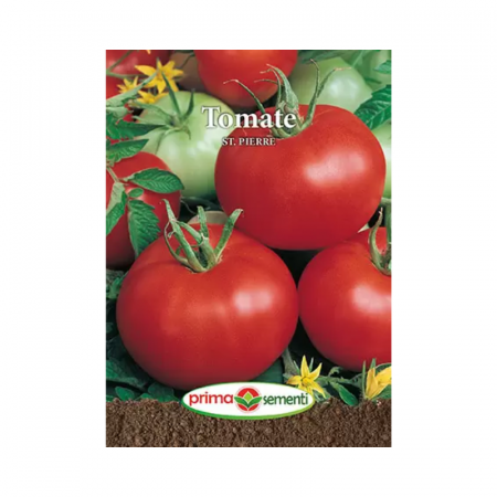 Seminte - Seminte Tomate St. Pierre