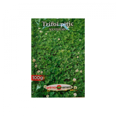 Seminte gazon - Seminte Trifoi Pitic Nanissimo 100 g