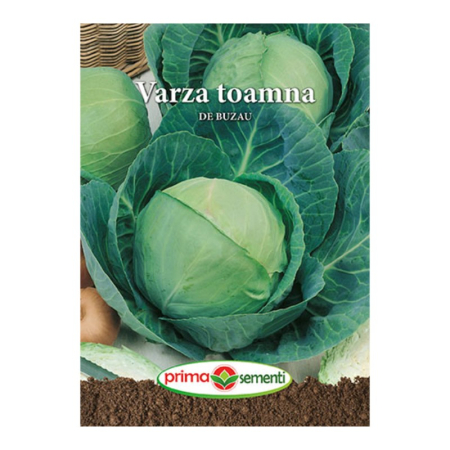 Seminte frunzoase - Seminte Varza de toamna de Buzau