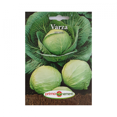 Seminte frunzoase - Seminte Varza Istrita
