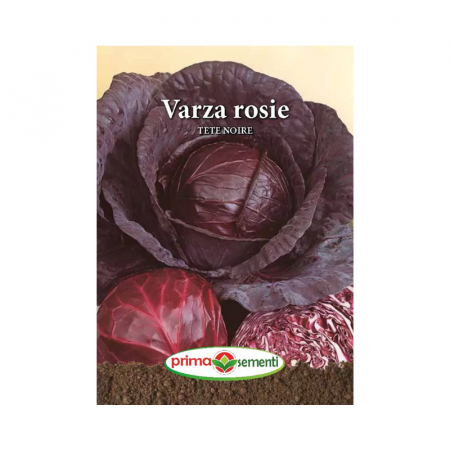 Seminte frunzoase - Seminte Varza rosie Tete Noire