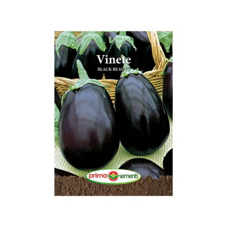 Seminte - Seminte Vinete Black Beauty