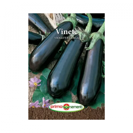 Seminte legume - Seminte Vinete Violetta Lunga