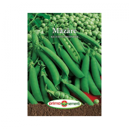 Seminte - Semite Mazare Kelvendon Wonder 500 gr