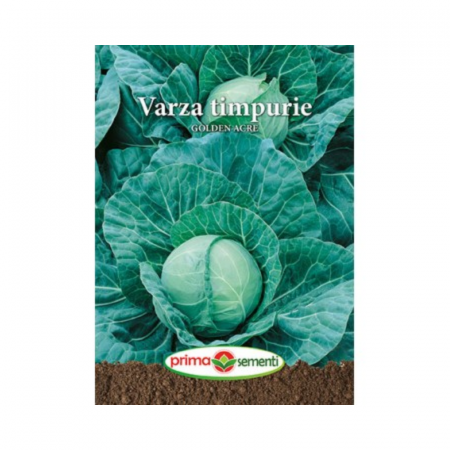 Seminte frunzoase - Semite Varza timpurie Golden Acre