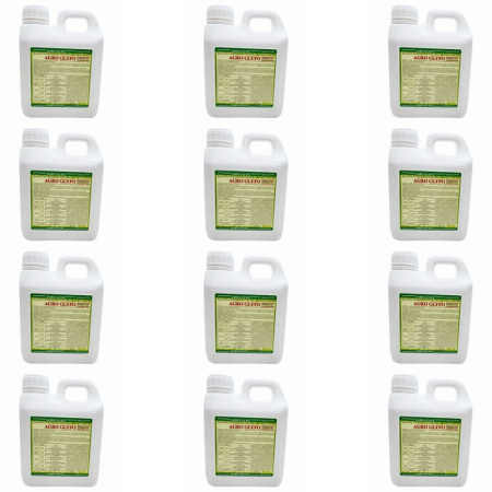 Tratament - Set erbicid total Agro Glypho 1 l x 12 buc