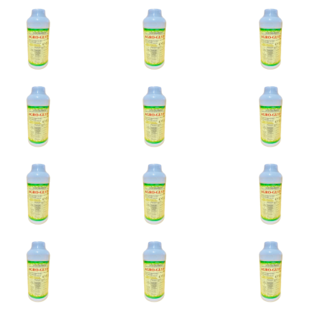 Tratament - Erbicid total Agro Glyfo 1 l x 12 buc