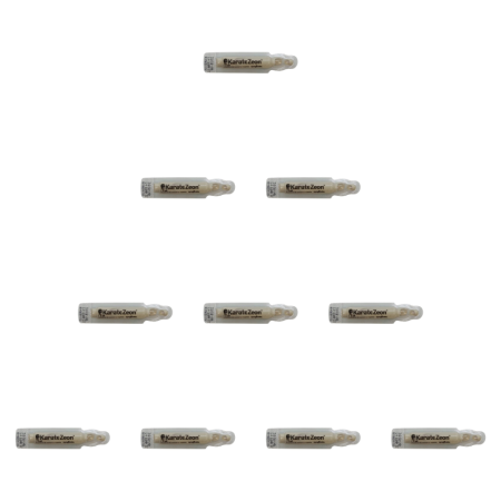 Insecticide / acaricide - Set Insecticid Karate Zeon 2 ml x 10 buc