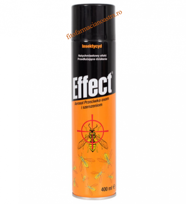 EFFECT Insecticid Spray Viespi [1]