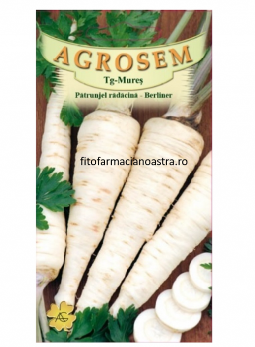 Seminte de Pătrunjel cu Rădăcină 30Gr [1]