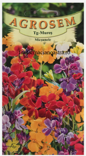Misunele [1]