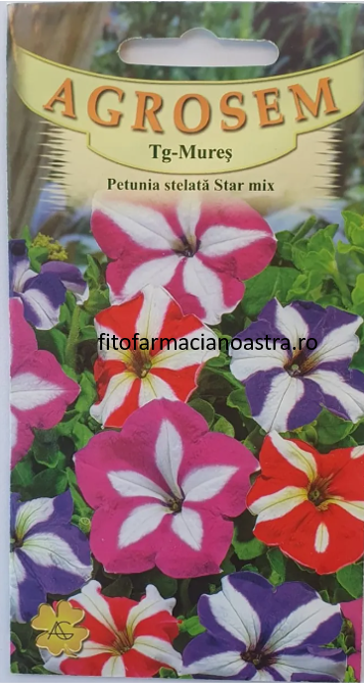 Petunie stelata [1]