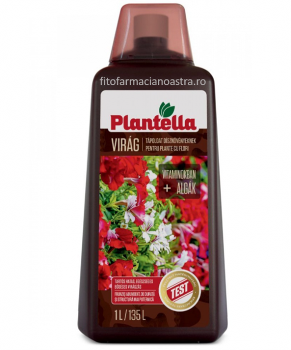 PLANTELLA VIRAG 500ML [1]