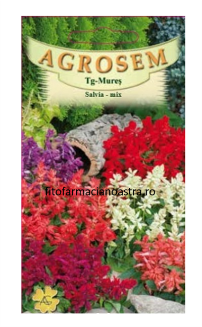 Salvia mix [1]