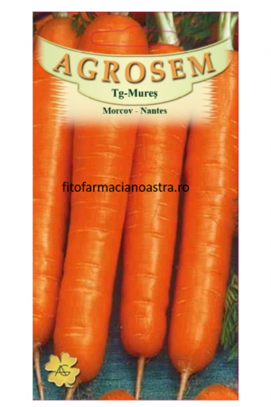 Seminte - Seminte de Morcov 25Gr