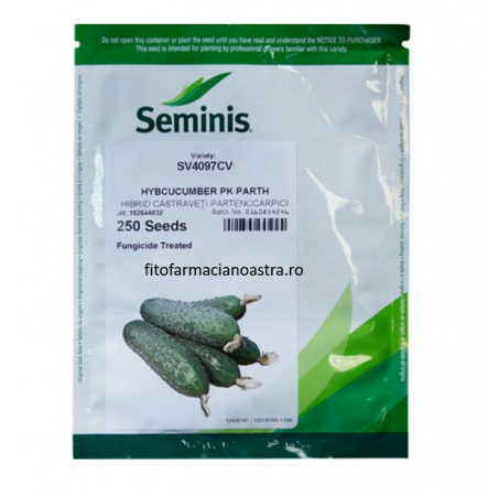 Seminte - Semințele de castravete hibrid 250sem.