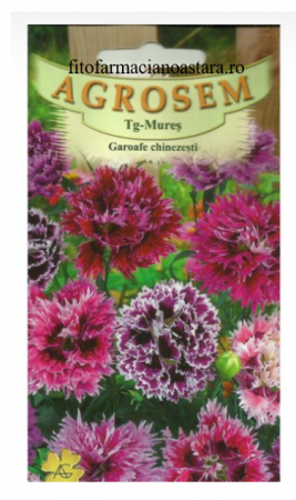 Produse - Garoafele chinezești