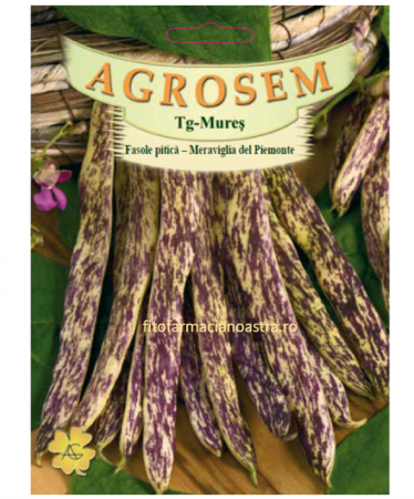 Seminte - Semințe de fasole pitică 50Gr, Agrosem