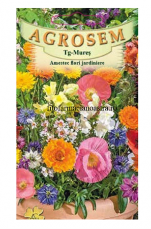 Produse - Amestec flori jardiniere
