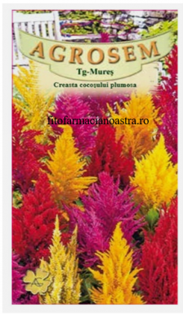 Produse - Creasta cocosului