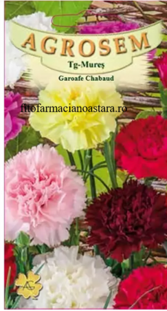 Produse - Garoafele Chabaud