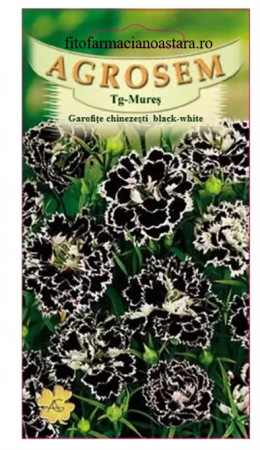 Produse - Garofițe chinezești Black & White