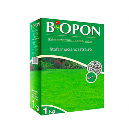 Ingrasaminte - Ingrasamant granulat pentru gazon 1kg, Biopon