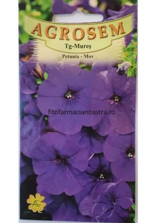 Produse - Petunia mov
