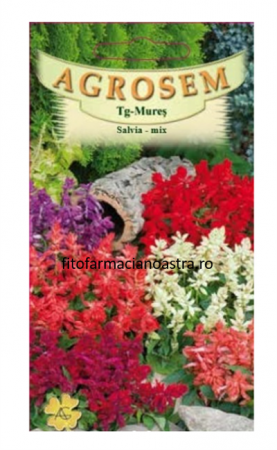 Produse - Salvia mix