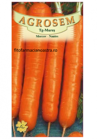 Seminte - Seminte de morcov 100Gr, Agrosem