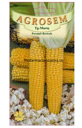 Seminte - Seminte de porumb pentru floricele 10Gr