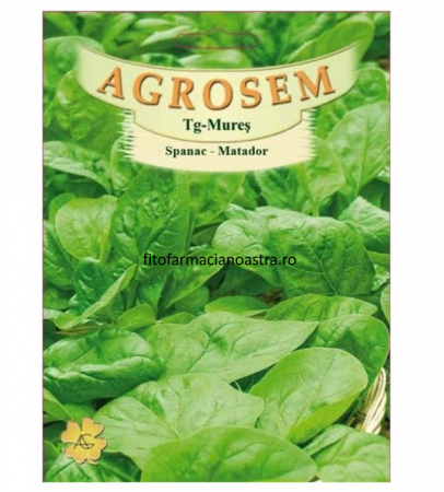 Seminte - Semințe de spanac 100Gr Agrosem